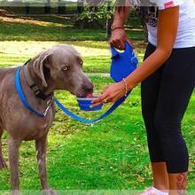1pc Portable 3-In-1 Retractable Dog Leash With Foldable Water Bowl & Food Container, Multifunctional Outdoor Pet Walking Accessory - Multicolor - View 12