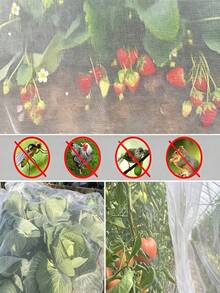 1 Pack, 60 Mesh Insect Netting, Made Of Polyethylene, Easy To Cut, Transparent Mesh, Fruit Covering Protective Net, Greenhouse Plant Protection Net, Greenhouse Insect Proof Net, Plant And Fruit Protective Film - Multicolor - View 4