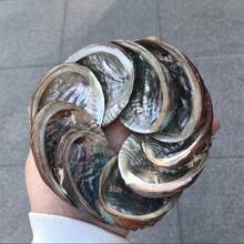 Premium Abalone Shell - Perfect For Jewelry Making, Meditation And Home Decor | Unique Birthday Gift And Graduation Gift - A - View 8