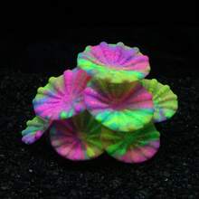 Soft Silicone Glow In The Dark Aquarium Coral Jewelry Soft Silicone And Realistic Color Change Glow In The Dark Creates Visual Effects That Are Easy To Place In The Aquarium Decoration - A - View 19