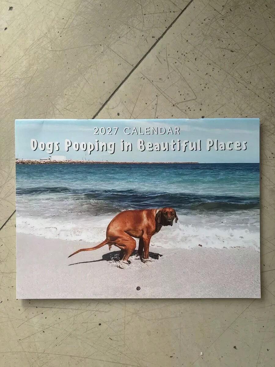 2027 Calendar Dog Pooping In Beautiful Places Humorous Gag Gift Thick Paper Wall Calendar Christmas Home Decor Planner - Multiple Styles - View 1
