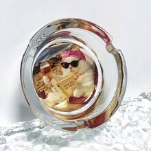 貓咪閱讀圖案玻璃菸灰缸 3.34 吋圓形菸灰缸，飯店裝飾家居裝飾菸灰缸，送給朋友的禮物 - 看書的貓 - 查看 2