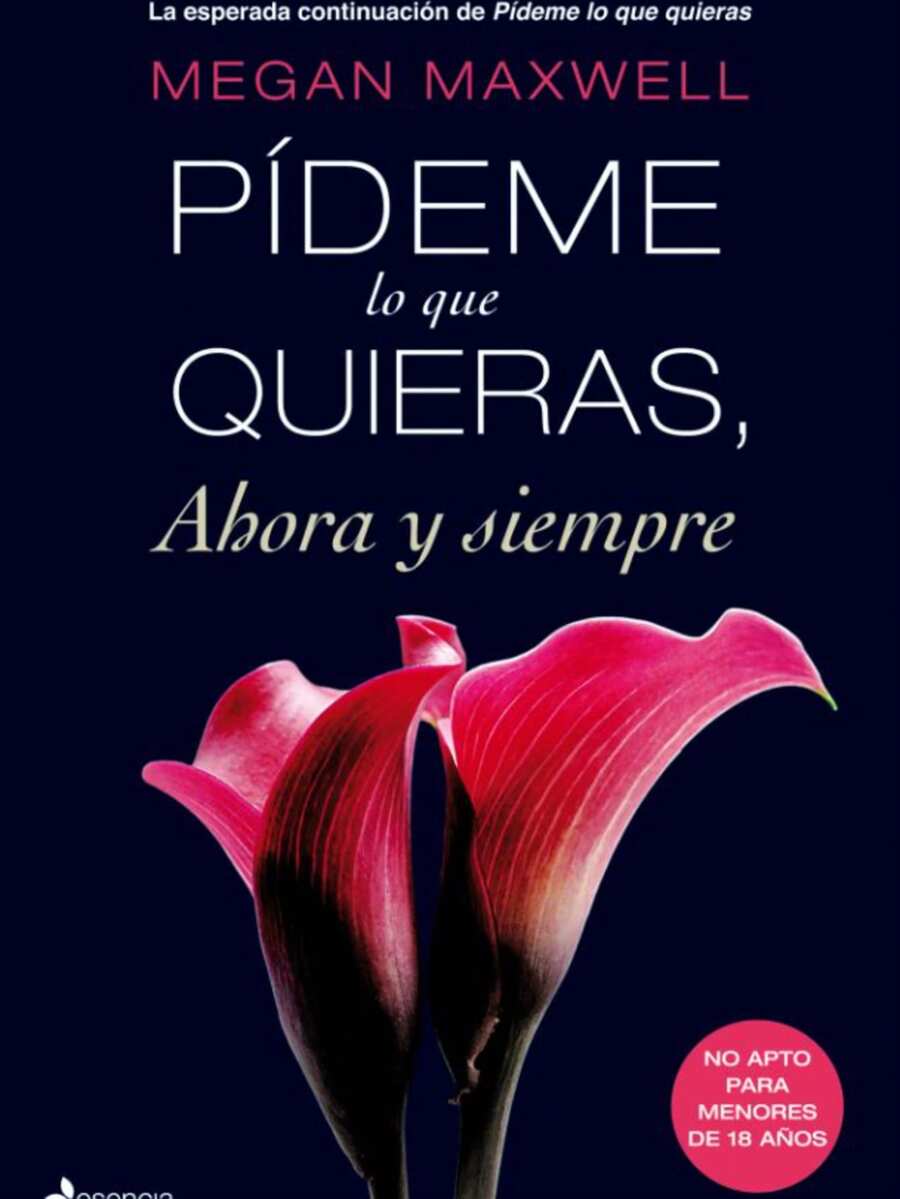 Romance Novel - Single Book - View 1