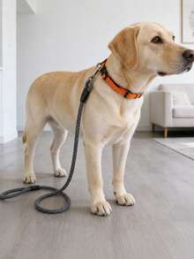 1pc Grey-Black Linen Dog Leash, Convenient Outdoor Pet Leash, Can Be Paired With Waste Bags, Collars, Etc., Suitable For Daily Dog Walking, Outdoor Trips, Travel Camping, Etc. - Multicolor - View 4