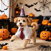 1set Adjustable Halloween Pet Costume Accessory Kit With Pumpkin Ghost Bat Prints, Detachable Printed Necktie & Pointed Witch Hat, Gentleman Style Collar Decor, Themed Party Dress-Up Prop For Small Cats Dogs Indoor Holiday Photo Shooting Scene Layout - Multicolor - View 8