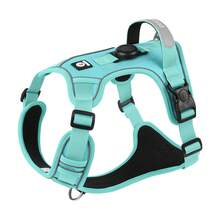 1 Peça Colete para Cachorro com Estojo Protetor AirTag, Suporte Oculto Integrado para AirTag, Colete Ajustável Reflexivo, Adequado para Cães de Pequeno a Grande Porte, Não Inclui Rastreador AirTag ou Guia - Multicolorido - Visão 27