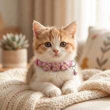 1pc Floral Woven Cat Collar With Bell, Adjustable Anti-Lost, Suitable For Kittens And Adult Cats, Fresh Pastoral Style Photo-Ready Pet Accessory, Material No Choking, Small Gift For Cats, Multiple Colors Available - Multicolor - View 4