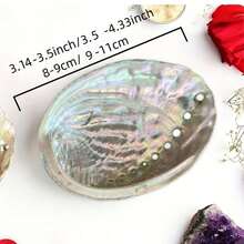 Premium Abalone Shell - Perfect For Jewelry Making, Meditation And Home Decor | Unique Birthday Gift And Graduation Gift - A - View 2