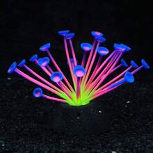 Soft Silicone Glow In The Dark Aquarium Coral Jewelry Soft Silicone And Realistic Color Change Glow In The Dark Creates Visual Effects That Are Easy To Place In The Aquarium Decoration - A - View 26