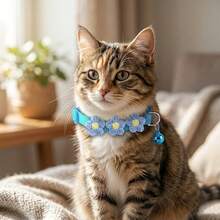 1pc Floral Woven Cat Collar With Bell, Adjustable Anti-Lost, Suitable For Kittens And Adult Cats, Fresh Pastoral Style Photo-Ready Pet Accessory, Material No Choking, Small Gift For Cats, Multiple Colors Available - Multicolor - View 3