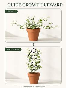 4pcs Honeycomb Plant Support Stakes, Rust-Proof Plastic Honeycomb Column Support, Space-Saving Indoor/Outdoor Garden Support, Plastic Climbing Plant Training Support System, Helps Plants Grow Healthy, Decorative Garden Support - Multicolor - View 7