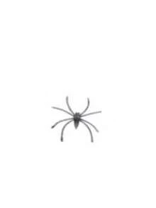 Spider Web Halloween Decoration, With Realistic Spider, Super Elastic Spider Web, Suitable For Halloween Indoor/Outdoor Party Supplies - Spider Web - View 11
