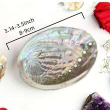 Premium Abalone Shell - Perfect For Jewelry Making, Meditation And Home Decor | Unique Birthday Gift And Graduation Gift - A - View 12