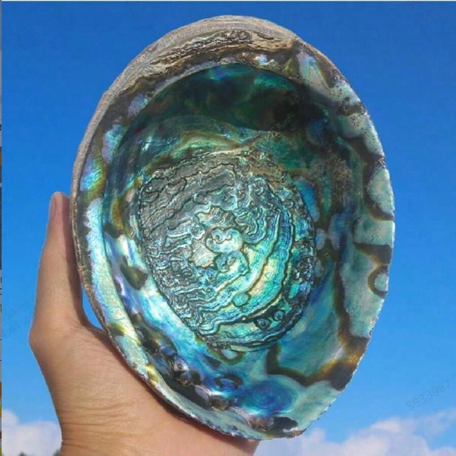 Premium Abalone Shell - Perfect For Jewelry Making, Meditation And Home Decor | Unique Birthday Gift And Graduation Gift - A - View 1