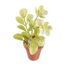 1 pièce Modèle de plante fleur, paysage miniature décoratif, bonsaï mini, jouet alimentaire, plante verte 12 points, bonsaï mini, maison de poupée, jardin DIY, paysage miniature, ornement de fête, mini plante, décoration de bureau - Plante en pot ABC - Voir 14