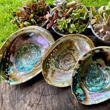 Premium Abalone Shell - Perfect For Jewelry Making, Meditation And Home Decor | Unique Birthday Gift And Graduation Gift - A - View 9