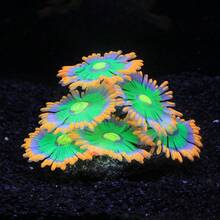Soft Silicone Glow In The Dark Aquarium Coral Jewelry Soft Silicone And Realistic Color Change Glow In The Dark Creates Visual Effects That Are Easy To Place In The Aquarium Decoration - A - View 22