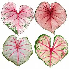 4/5pcs Calathea/Monstera Acrylic Tropical Plant Leaf Coasters, New Ins Style Heat-Resistant Coaster Set, Protects Tabletop From Hot Drinks, Cups And Plates, Suitable For Office, Restaurant, Cafe - Multicolor - View 10