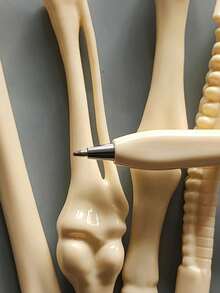 Bone-Shaped Ballpoint Pen, Ergonomic Oval Design, Medium Point Tip, Plastic Material, Retractable, Perfect Gift For Nurses, Doctors, Office Use, Medical Notebook Writing Supplies - White - View 4