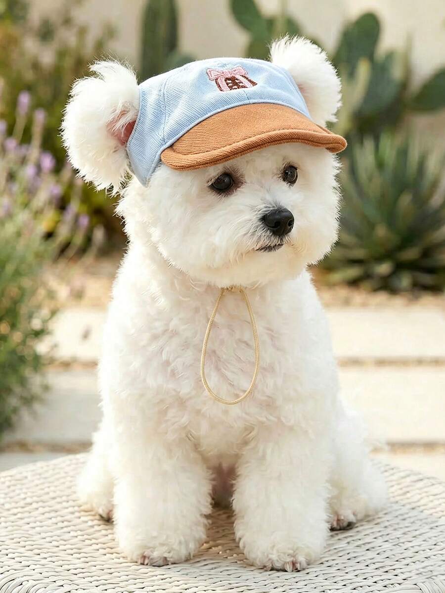 PETCIRCLE 1件寵物配件 小狗幼犬貓用 可愛百搭拍照道具裝飾 四季通用戶外帽子 - 彩色 - 查看 1