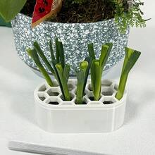 2件組水耕蔥種植套組，可重複使用無土蔥種植盆附穿孔蓋，適合桌面與窗台，小型居家園藝初學者理想選擇 - 多色 - 查看 7