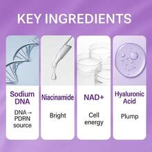 NAD+ PDRN Radiance Brightening Toner | 50 Types Of Peptides Salmon DNA Niacinamide | Moisturizing Brightening Firming Anti-Aging | Suitable For All Skin Types - Niacinamide - View 5