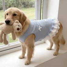 2026 New Spring/Summer Large Dog Vest, Light Blue Lace Bow Pet Top, Breathable Large Dog Clothing, Suitable For Golden Retriever, Labrador - Multicolor - View 2