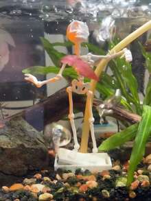 Halloween Dancing Skeleton Ornament, Fish Tank Dancing Air Pump, Fish Tank Decoration Accessory - Happy Aquarium - View 6