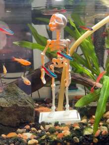 Halloween Dancing Skeleton Ornament, Fish Tank Dancing Air Pump, Fish Tank Decoration Accessory - Happy Aquarium - View 5