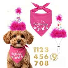 3pcs Pet Birthday Party Decoration Set - Includes Dog Birthday Hat, Dog Birthday Decoration, Dog Birthday Headband And Dog Birthday Party Supplies. Suitable For Male And Female Pets. Birthday Dog Costume Suitable For Small, Medium, Large Dogs And Cats - Multicolor - View 1