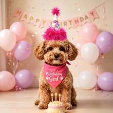 3pcs Pet Birthday Party Decoration Set - Includes Dog Birthday Hat, Dog Birthday Decoration, Dog Birthday Headband And Dog Birthday Party Supplies. Suitable For Male And Female Pets. Birthday Dog Costume Suitable For Small, Medium, Large Dogs And Cats - Multicolor - View 4