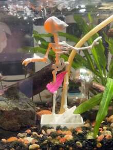 Halloween Dancing Skeleton Ornament, Fish Tank Dancing Air Pump, Fish Tank Decoration Accessory - Happy Aquarium - View 7