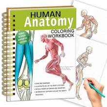 (134pages/602g)Human Anatomy Coloring Workbook: Spiral-Bound | Medical Anatomy Workbook With Detailed Illustrations, Body Systems Learning Activity Book, Study Guide For Nursing Students, Medical Students & Healthcare Learners - Spiral-bound - View 2
