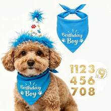3pcs Pet Birthday Party Decoration Set - Includes Dog Birthday Hat, Dog Birthday Decoration, Dog Birthday Headband And Dog Birthday Party Supplies. Suitable For Male And Female Pets. Birthday Dog Costume Suitable For Small, Medium, Large Dogs And Cats - Multicolor - View 7