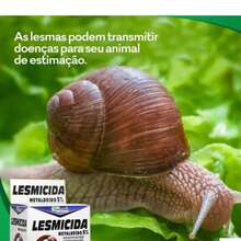 Combo 3 Lesmicidas Kelldrin Isca Granulada Lesmas E Caracóis 3x50gr - C - Visão 7