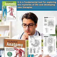(134pages/602g)Human Anatomy Coloring Workbook: Spiral-Bound | Medical Anatomy Workbook With Detailed Illustrations, Body Systems Learning Activity Book, Study Guide For Nursing Students, Medical Students & Healthcare Learners - Spiral-bound - View 7