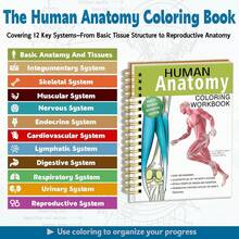 (134pages/602g)Human Anatomy Coloring Workbook: Spiral-Bound | Medical Anatomy Workbook With Detailed Illustrations, Body Systems Learning Activity Book, Study Guide For Nursing Students, Medical Students & Healthcare Learners - Spiral-bound - View 4