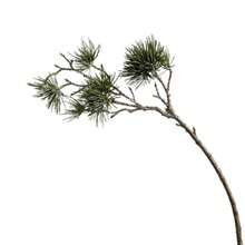 聖誕花環DIY用人造松枝，綠色塑膠綠植裝飾插枝，適用於節日花環製作、居家酒店新年派對裝飾 - 墨綠色 - 查看 11