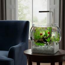 1pc Sturdy Transparent Round Fish Tank, Desktop Aquarium, Anti-Drop And Anti-Tip, Suitable For Turtles And Small Fish. Natural Stone Design, Versatile Use, Indoor/Outdoor Decorative Fish Tank. - Multicolor - View 5