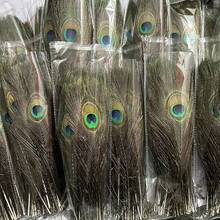 70/50pcs Artificial Peacock Feathers Bulk Pack, Suitable For Vases, Crafts, Weddings, Home Parties, Christmas Decor And More - Multicolor - View 1