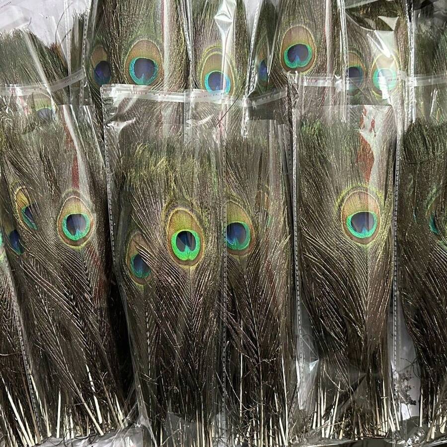 70/50pcs Artificial Peacock Feathers Bulk Pack, Suitable For Vases, Crafts, Weddings, Home Parties, Christmas Decor And More - Multicolor - View 1
