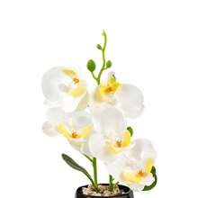 Artificial Plants, Black & White Rhombus Planter, 4-Color Potted Orchids, Suitable For Kitchen, Office, Bedroom, Study And Other Space Decoration, No Maintenance Required - Black Pot - White Flowers - View 5