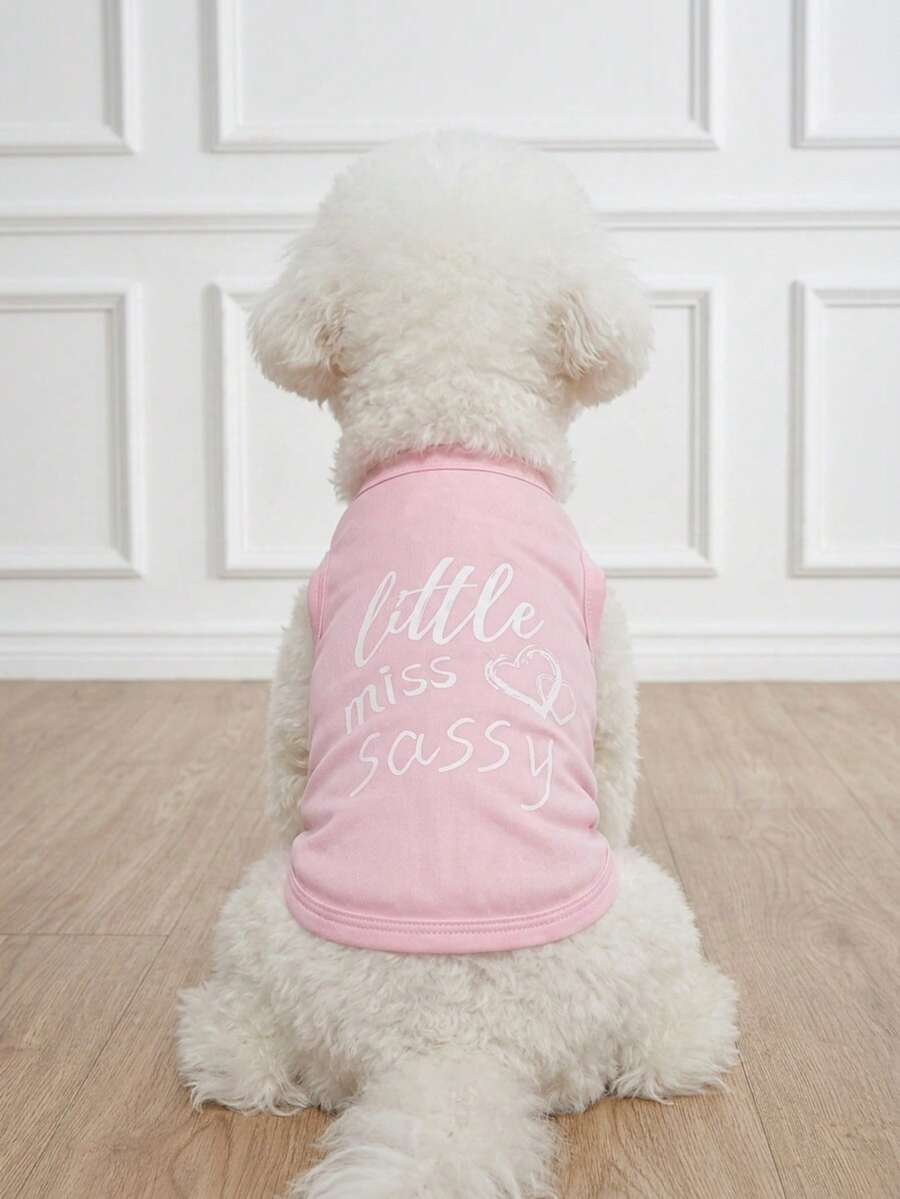 LUCKIE LABO Áo vest in hình Little Miss Sassy, chống bọ chét, giảm rụng lông, thoáng khí, dành cho mèo và chó trong nhà/ngoài trời. - Hồng - Xem 1