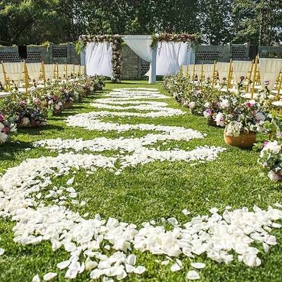 2000 piezas - Pétalos de rosa de seda artificial, pétalos de rosa blanca, adecuados para decoración de bodas, relleno de cajas de regalo, rosa romántica, pétalos de rosa para propuesta, regalos blancos, cumpleaños, ceremonia de graduación, decoración de fiestas, despedida de soltero, playa de verano, vuelta a la escuela, útiles escolares, decoración de habitaciones