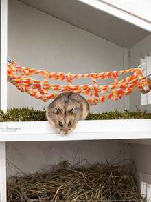 Jembatan Tali Tangga Burung Habitat Hewan Kecil, Aksesoris Kandang Tikus Mainan Tikus Jaring Tali Burung untuk Memanjat Tikus Ayunan Hewan Peliharaan untuk Hamster, Tikus, Burung Beo, Dekorasi dan Permainan, Pengiriman Warna Acak, 12,6 Inci X 9,84 Inci, - A - View 6
