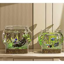 1pc Sturdy Transparent Round Fish Tank, Desktop Aquarium, Anti-Fall & Anti-Tip, Suitable For Turtles And Small Fish, Natural Stone Design, Versatile Indoor/Outdoor Decorative Fish Bowl - Multicolor - View 3
