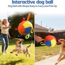 Cat & Dog Ball Toy, Multiple Sizes Available, Inflatable Ball For Herding Dogs; Durable Chew & Dental Care, Suitable For Large Dogs To Relieve Boredom And Interactive Training, Universal For Cats & Dogs, Perfect Holiday Gift - Multicolor - View 6