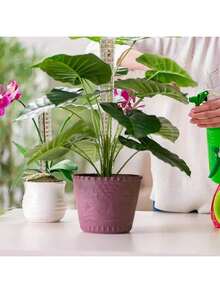 1/2/6件組植物支撐苔蘚柱套裝，塑膠苔蘚柱，植物支架，園藝用品，植物配件 - 多款式 - 查看 9
