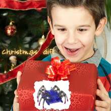 Kit Didáctico Robot Araña De Acrílico Para Armar Araña Claro - Multicolor - Ver 9