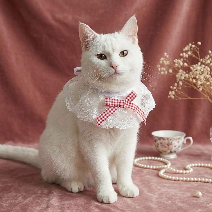 1pc Pet Lace Round Neck Bib, Embroidered Floral Mesh Scarf, Suitable For Cats And Dogs, Cute Sweet Style Neck Accessory, Adjustable And Soft, Daily Wear, Party Photo Prop, Cute Gift For Pet Lovers, Multiple Colors Available